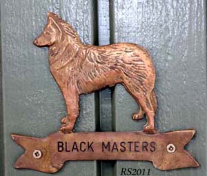 Bisa 7.03.2011 - kennel kyltti - Black Masters.jpg (81374 bytes)