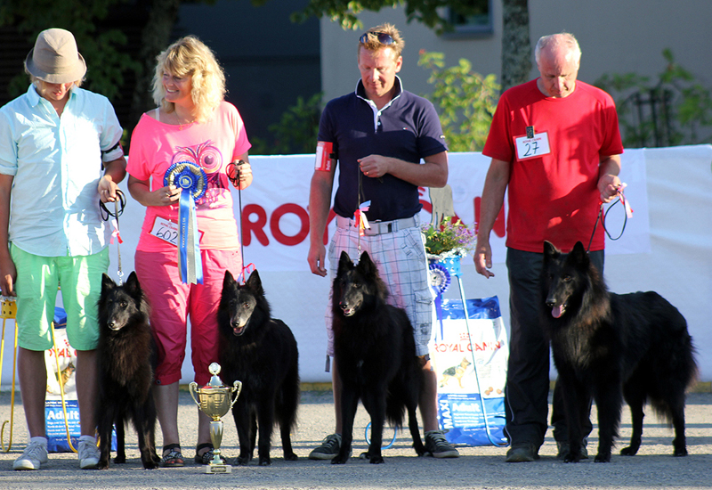 Black Masters 27.7.2013 Joensuu- Alma.Tazzi.Ivi.Hiili.BIS2.Netti2.jpg (499767 bytes)