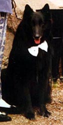 wedding3.jpg (39705 bytes)