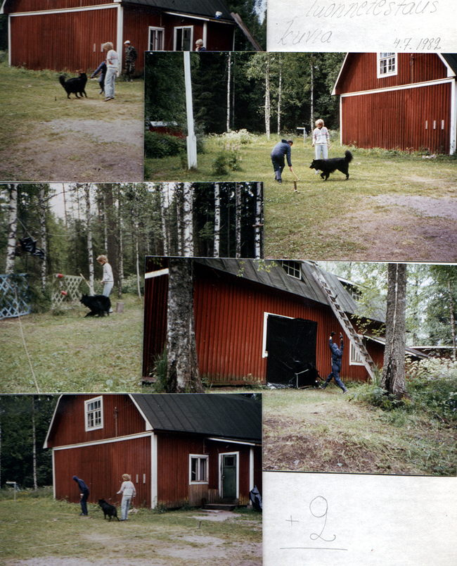 Acclaim 04.07.1982 - 3v9kk.Late.Luonnetesti.jpg (1794236 bytes)