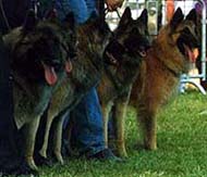 BlackMasters1.1999.JPG (15499 bytes)