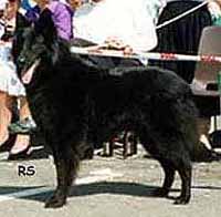 Borromee2.JPG (15664 bytes)