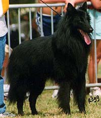 CharlesMarajuyo1999.JPG (17652 bytes)