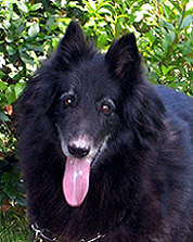 Claire-diTorreDArese10.07.2005-10v4kk.head.1.jpg (34189 bytes)