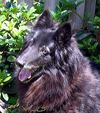 Claire-diTorreDArese10.07.2005-10v4kk.head.jpg (43109 bytes)