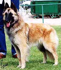 DanielaXinela1.JPG (33486 bytes)