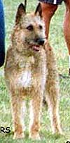 FakaisersHacydeHexagone1999.JPG (10056 bytes)