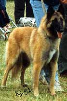 FaroucheDeLaDoucePlaine1992.JPG (13287 bytes)