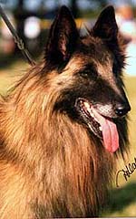 FoehnPresHennoy.JPG (47092 bytes)