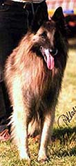 FoehnPresHennoy1.JPG (42243 bytes)