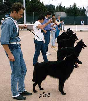 FrenchSpec1989.2.JPG (22934 bytes)