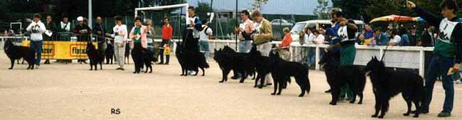 FrenchSpec1989.7.JPG (32506 bytes)