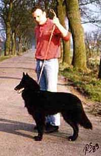 HoneyBlack1.JPG (22545 bytes)