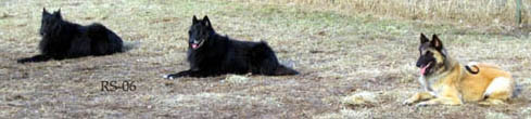 Koulutus25.04.2006-Pepsi.Pahvi.Tami.jpg (35478 bytes)