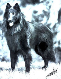 MilanDeLaCloserieDeYenda.jpg (26807 bytes)