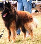 MiltonClairiereAuxLouves1999.3.JPG (27158 bytes)