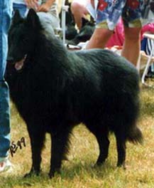 NyoukdelaFureurduCrepuscule1.JPG (26060 bytes)