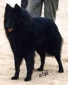 OshiwaDesTerresBergeres19.05.1991.JPG (10613 bytes)