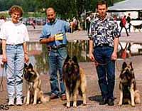 SherpaPuppy.JPG (24897 bytes)