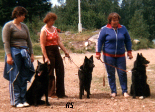 Valkohampaan Afrodite.Irma.Of Nocturno Onastasia.Pirkko.Valkoh.Araxos.Liisa.jpg (122530 bytes)