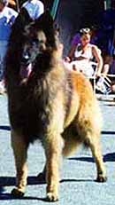 joffrey1.jpg (11886 bytes)