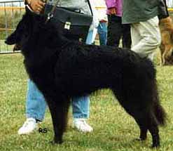 maxduf.jpg (18932 bytes)