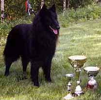 AmazingWinner08.06.2002-9v8kk.JPG (20233 bytes)