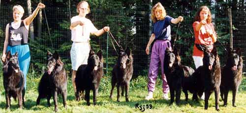 B.Gr.10.07.1993BellaBlackballetBatBowBestBoogie-8,5kk.JPG (52930 bytes)