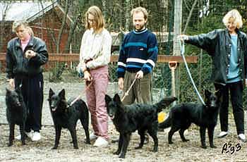 B.Gr.Pups.1993.JPG (23197 bytes)
