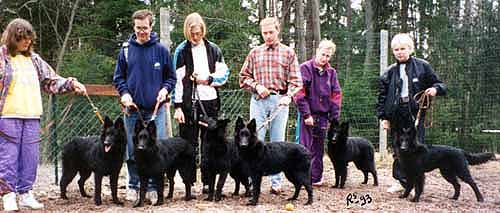 B.Gr.Pups.Meeting1993.JPG (27316 bytes)