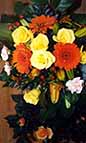 B.Gr.litter.kukkia26.10.2002.JPG (42223 bytes)