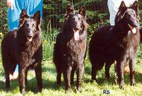 B.Gr10.07.1993BellaDonna.BlackBaroness.BalletDancer.JPG (19349 bytes)