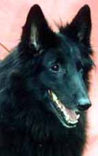 BalletDancer26.10.2002-10v.head.JPG (7870 bytes)