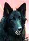 BeautyBaby26.10.2002-10v.head.JPG (5213 bytes)