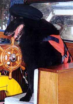 BellaDonna2001Sailor.JPG (28892 bytes)
