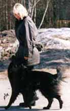 BelleBelinda2001.1.JPG (17633 bytes)
