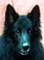 BigDreams26.10.2002-10v.head.JPG (4851 bytes)