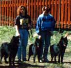 D.Gr.Dollar.Doctor.Dutch07.05.1994-6kk.JPG (13140 bytes)