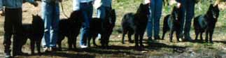 D.Gr.urokset07.05.1994-6kk.JPG (9460 bytes)