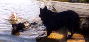 DestinyLady.BoogieMan03.08.2003-Konsta.Mantyharju.JPG (16066 bytes)