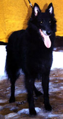 EndlessLove11.12.2004-10v.1.jpg (41384 bytes)