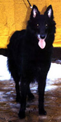 EndlessLove11.12.2004-10v.jpg (43431 bytes)