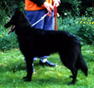 EndlessLove18.06.1995-6kk1vk.jpg (37540 bytes)