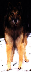 ExtraSpecial11.12.2004-10v.1.jpg (35821 bytes)