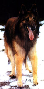 ExtraSpecial11.12.2004-10v.jpg (28080 bytes)