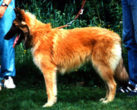 ExtraSpecial18.06.1995-6kk1vk.jpg (37628 bytes)