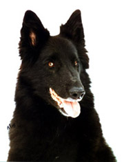 FantasticFay10.2.2005-10v.2.jpg (16251 bytes)