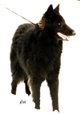 FantasticFay10.2.2005-10v.3.jpg (17804 bytes)