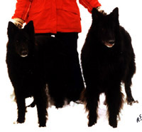 FutureHope.FantasticFay10.02.2005-10v.jpg (19195 bytes)