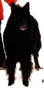 FutureHope10.02.2005-10v.1.jpg (18241 bytes)